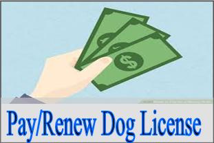 Pay/Renew Dog License