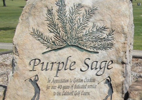 Purple Sage golf course image